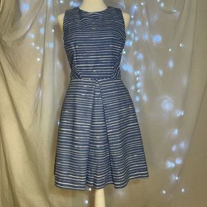 Blue and White Dress